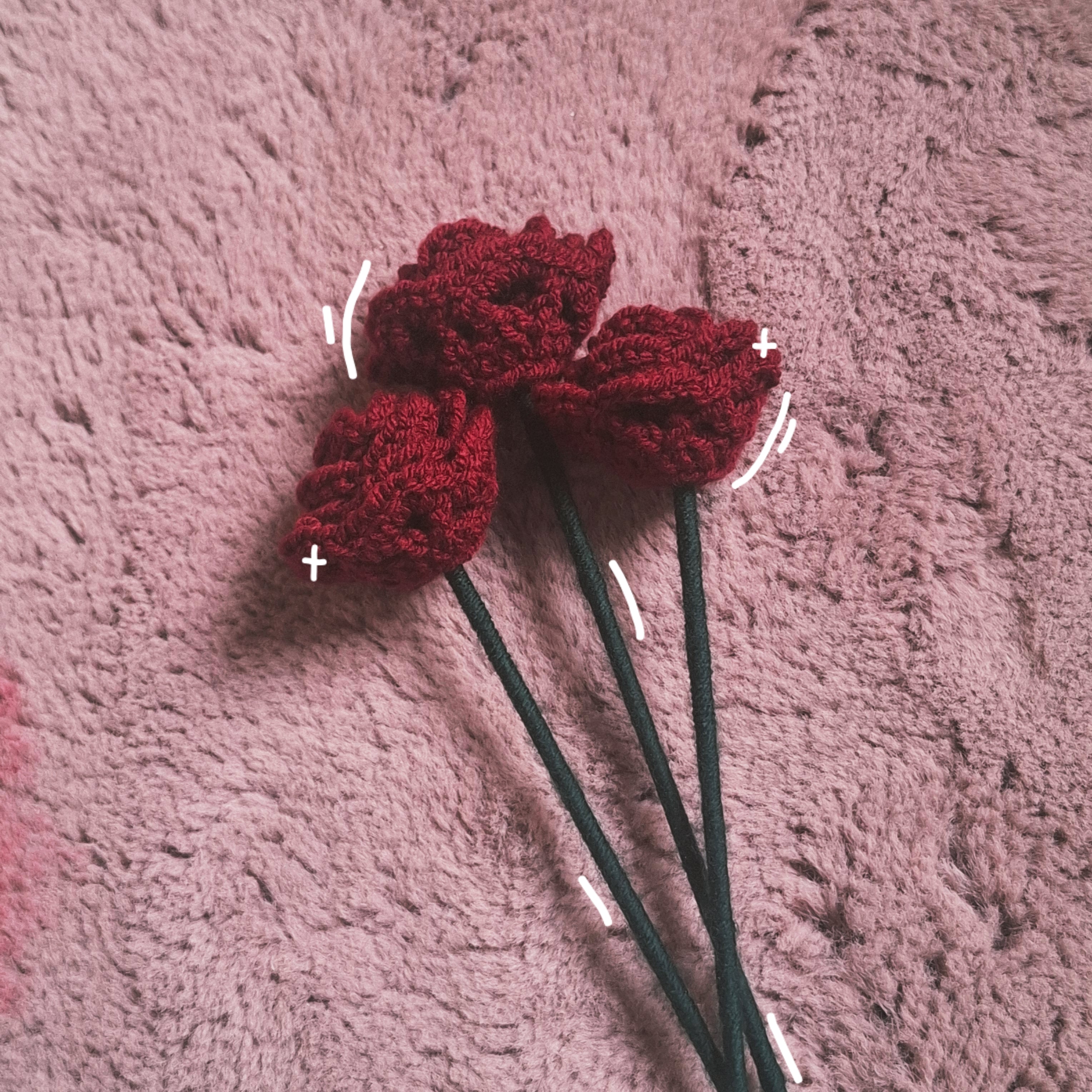 Rote Rose